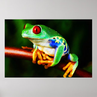 Frog 1 Skriv ut Poster