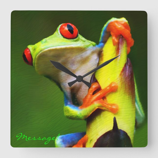 Frog 2 klocka med alternativ (Framsida)