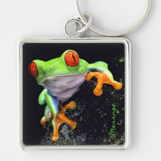 Frog 3-nyckelkedja fyrkantig silverfärgad nyckelring