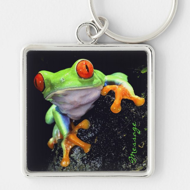 Frog 3-nyckelkedja fyrkantig silverfärgad nyckelring (Framsidan)
