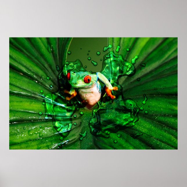 Frog 4 Poster (Framsidan)