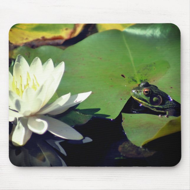 Frog Admiring Lotus Vatten Lily Flower Musmatta (Framsidan)