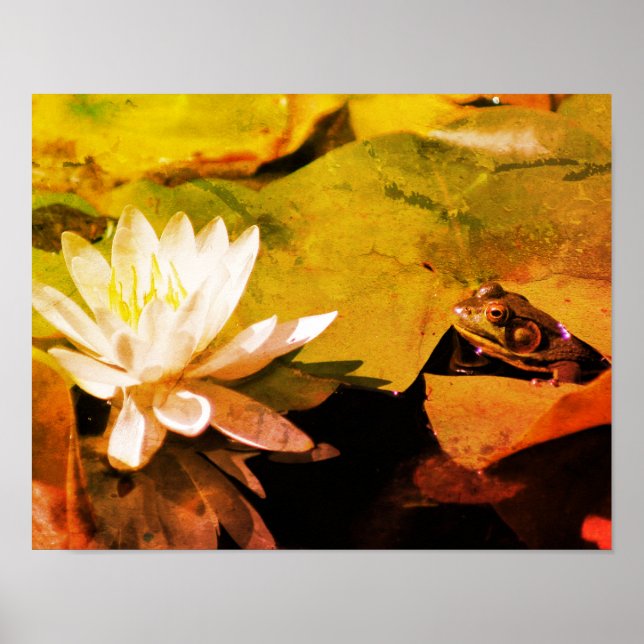 Frog Admiring Vatten Lily Abstrakt Grunge Poster (Framsidan)