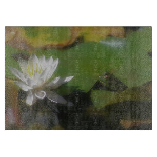 Frog Admiring White Lotus Flower Natature