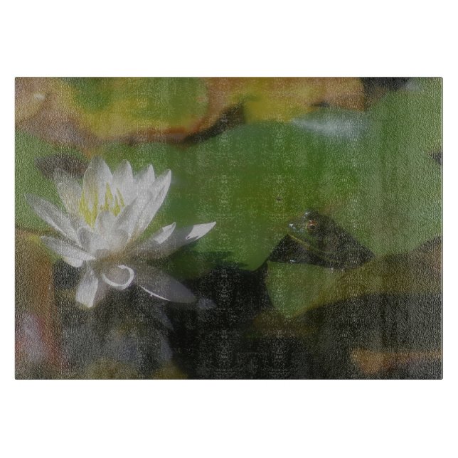 Frog Admiring White Lotus Flower Natature (Framsidan)