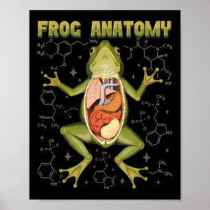 Frog Anatomy Frog Dissection Biology Amphibian Hen Poster