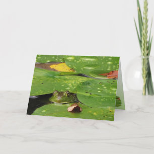 Frog and Lily Dynor Tack Kort