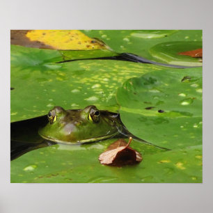 Frog and Lily Dynors Poster