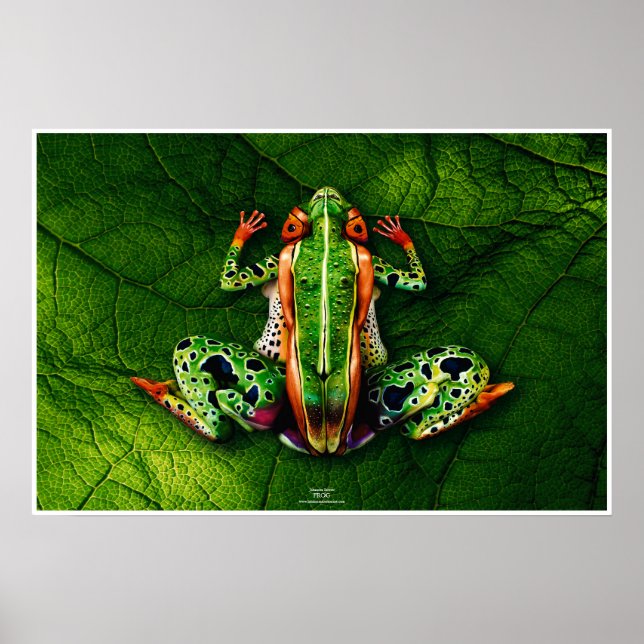 Frog av Johannes Stötter Poster (Framsidan)