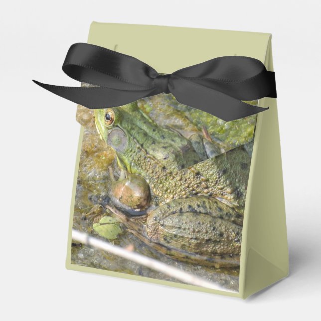 Frog Födelsedagsfest Kids Boy Animal Presentaskar (Framsidan Sidan)