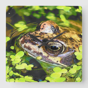 FROG FYRKANTIG KLOCKA