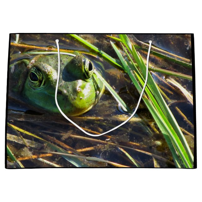 Frog Gift Bag (Framsidan)