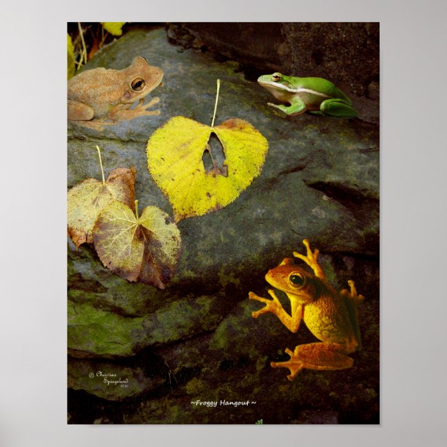 Frog Hangout Poster (Framsidan)