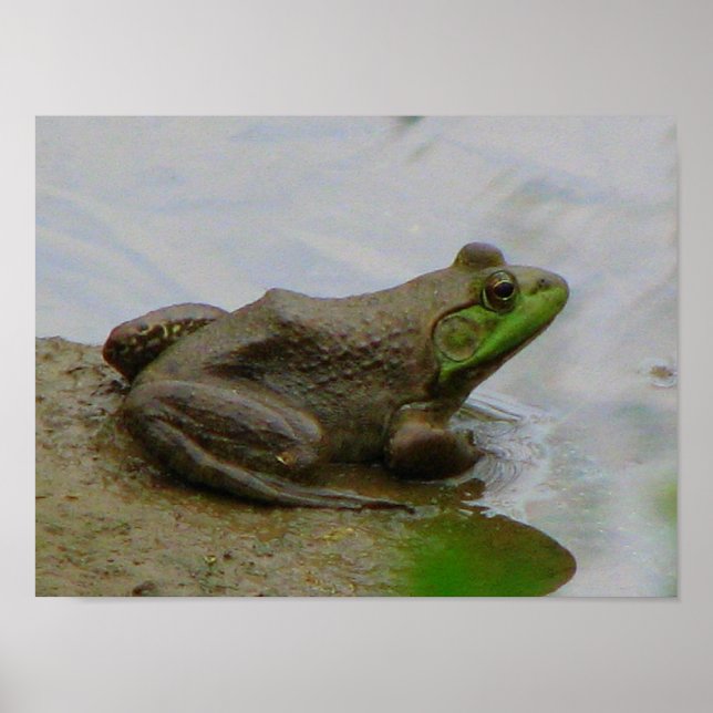 Frog i Lera Poster (Framsidan)