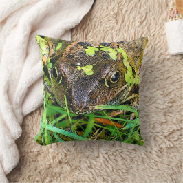 FROG KUDDE
