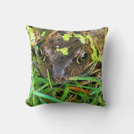FROG KUDDE