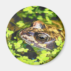 FROG MAGNET