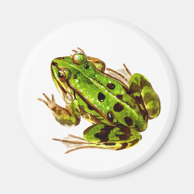 Frog Magnet (Framsidan)