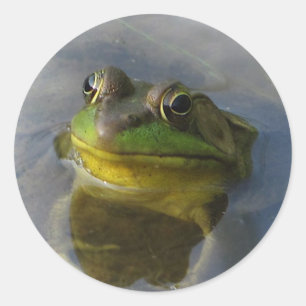 Frog med attityder runt klistermärke
