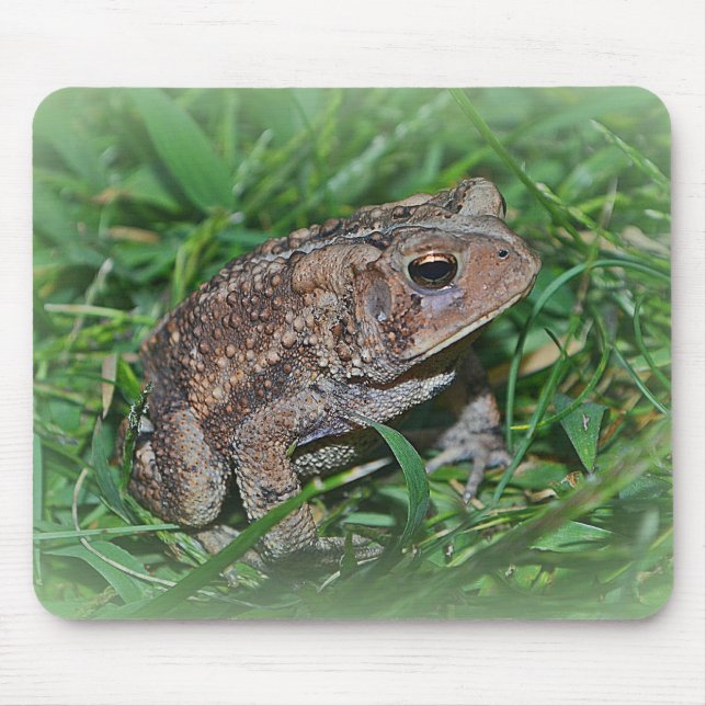 Frog Mousepad Musmatta (Framsidan)