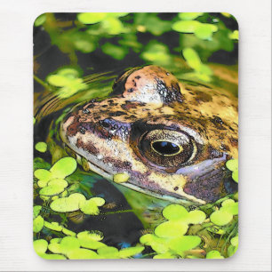FROG MUSMATTA