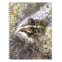 Frog nedsänkt i Vatten Bubbles och Frogspawn