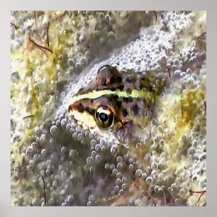 Frog nedsänkt i Vatten Bubbles och Frogspawn Poster