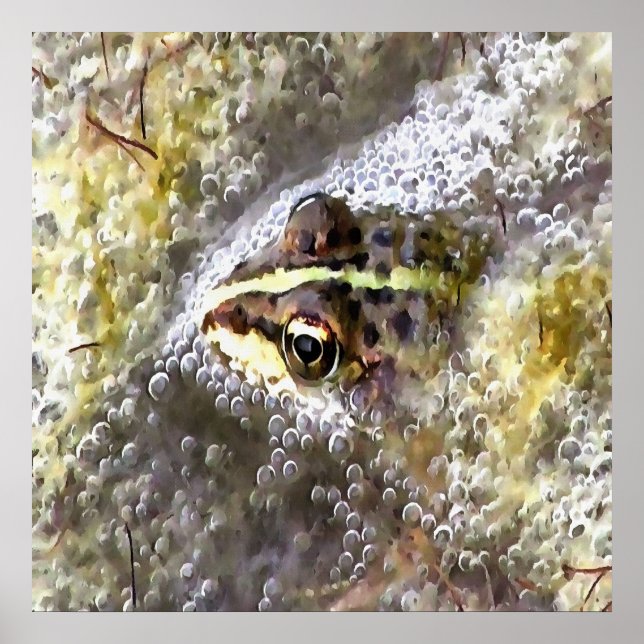 Frog nedsänkt i Vatten Bubbles och Frogspawn Poster (Framsidan)