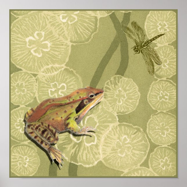 Frog och Dragonfly på Vatten Lilies Poster (Framsidan)