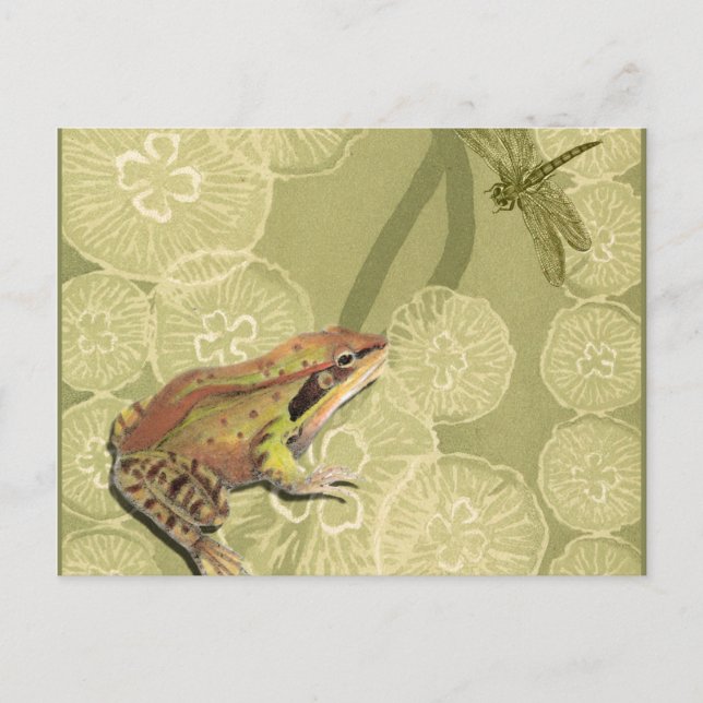 Frog och Dragonfly på Vatten Lilies Vykort (Framsida)