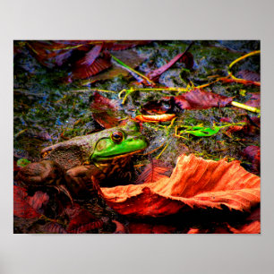 Frog och Färg Poster