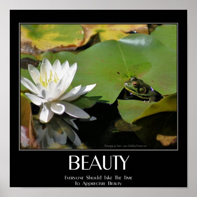 Frog och Lotus Flower Beauty Quote Inspirational Poster (Framsidan)