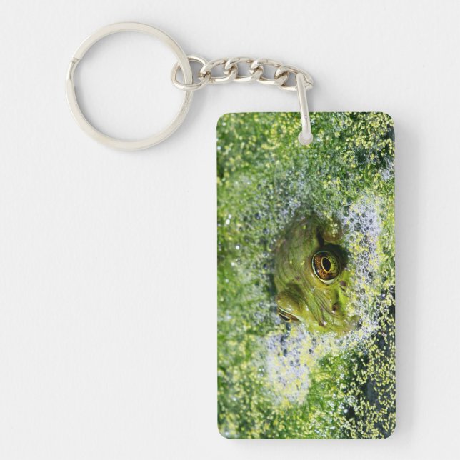 Frog Öga i en damm (Framsidan)