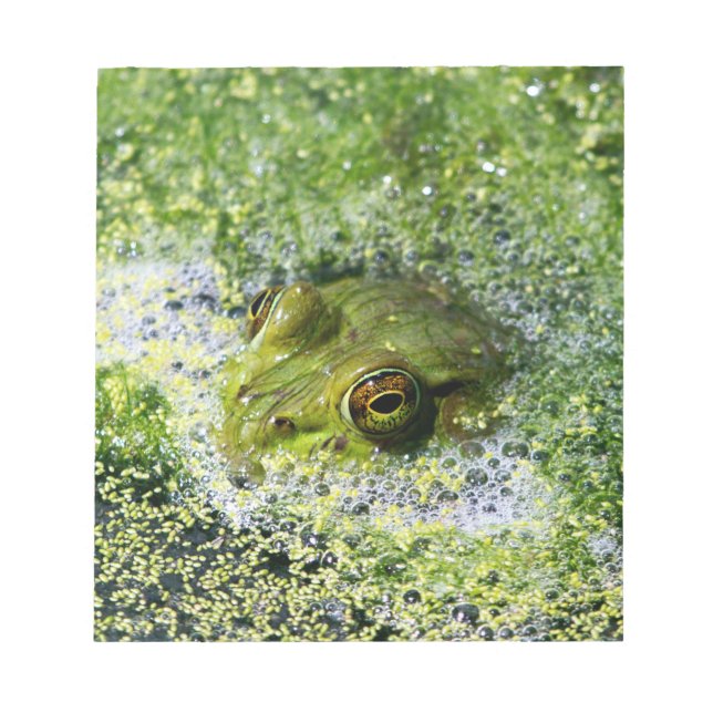 Frog Öga i en damm Anteckningsblock (Framsida)