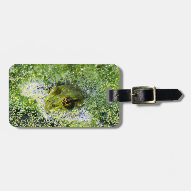 Frog Öga i en damm Bagagebricka (Horisontell Framsida)