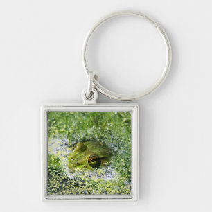 Frog Öga i en damm Fyrkantig Silverfärgad Nyckelring