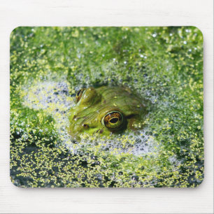Frog Öga i en damm Musmatta