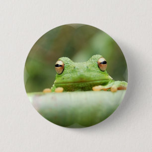 Frog Öga, knapp