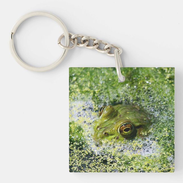 Frog Ögon (Framsidan)