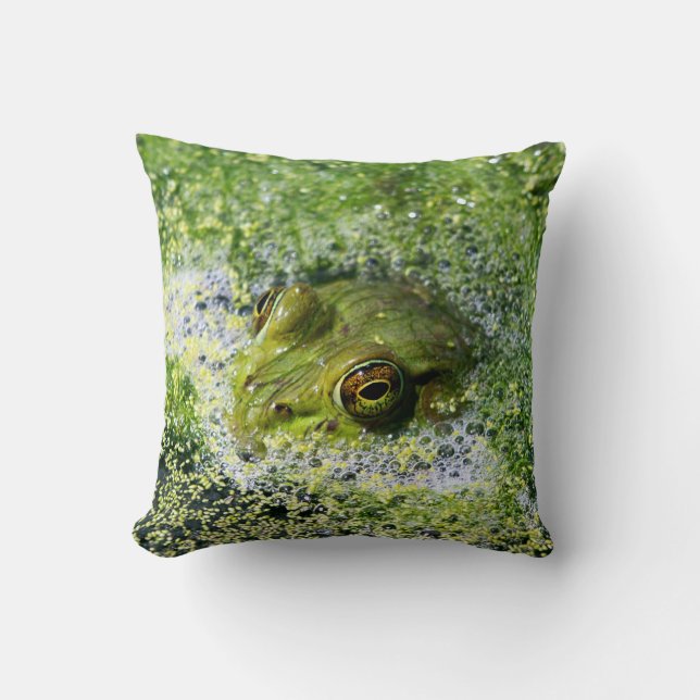 Frog Ögon Kudde (Framsida)