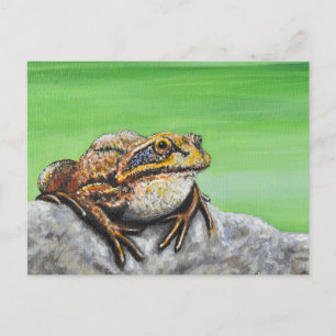 Frog på en Sten-målning Vykort