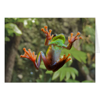 Frog på glas hälsningskort