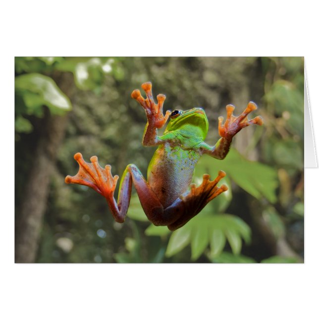 Frog på glas hälsningskort (Framsidan Horizontal)