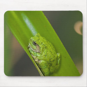 Frog på Grönten Löv Musmatta