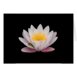 Frog på Lily Hälsningskort