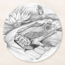 Frog på Lily Pad