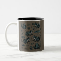 Frog Pond Life Vintage Botanisk Present Groda Utom