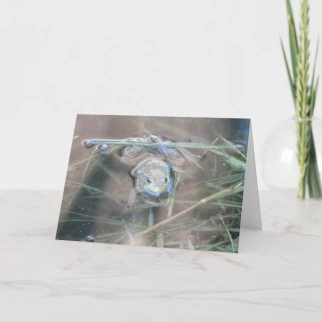 Frog/Pray Kort (Framsida)