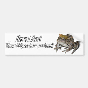 Frog Prince Bildekal