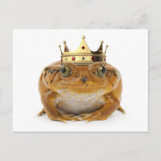 Frog Prince - frontvy Vykort